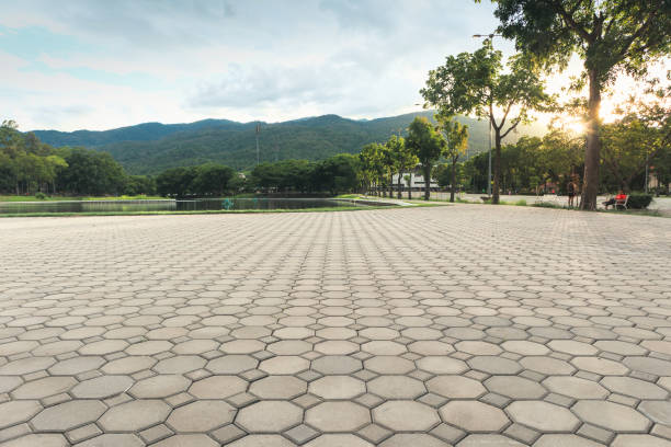 Best Driveway Paver Repair  in Superior, AZ