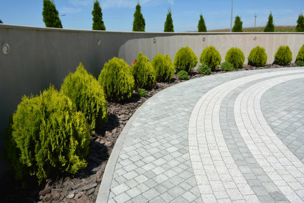 Best Driveway Pavers Near Me  in Superior, AZ